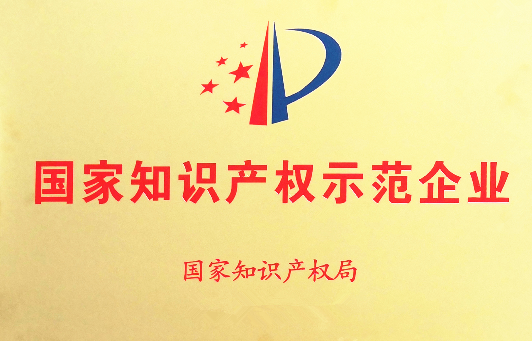 国家知识产权示范企业.jpg